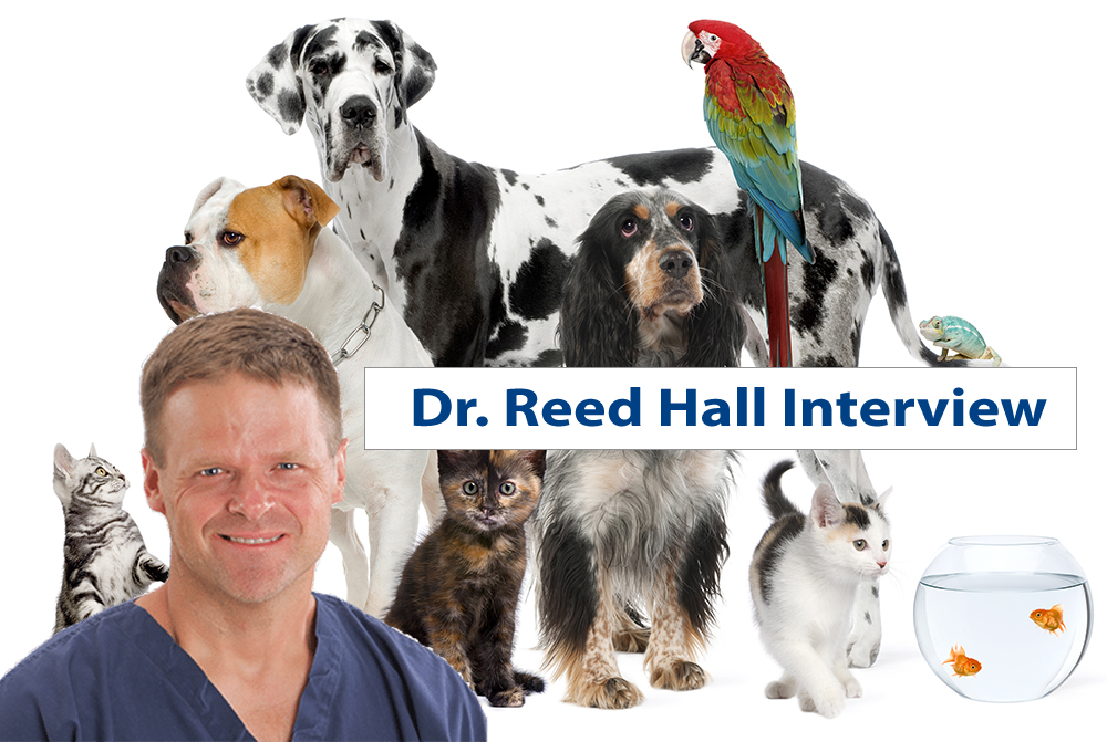 Veterinarian Interview - Dr. Reed Hall