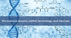 Illustration of DNA strands floating in liquid.