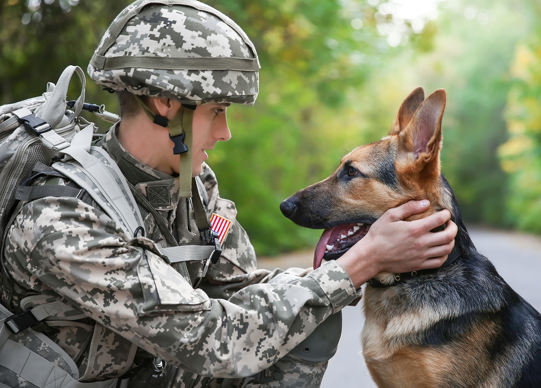 A soldier with his military working dog.